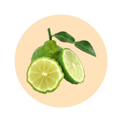 Bergamot fragrance note — used in SOMI AURA WHITE TIGER and LUMIÈRE