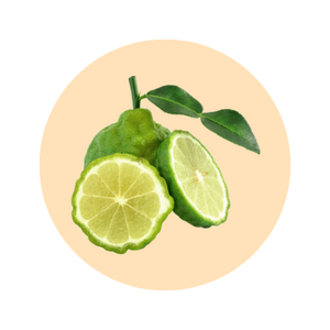 Bergamot fragrance note — used in SOMI AURA WHITE TIGER and LUMIÈRE