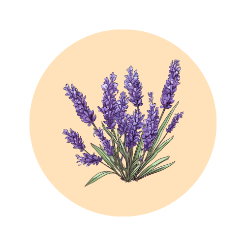 Lavender fragrance note — used in SOMI AURA AL-HARAM