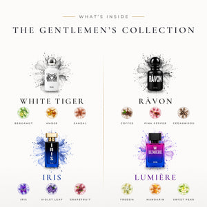 The Gentlemen's Collection – men's perfume key notes – SOMI AURA