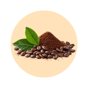 Coffee fragrance note — used in SOMI AURA DESIRE and RÀVON