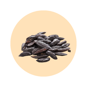 Tonka bean fragrance note — used in SOMI AURA DESIRE