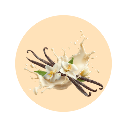 Vanilla cream fragrance note — used in SOMI AURA DESIRE and VELOURA